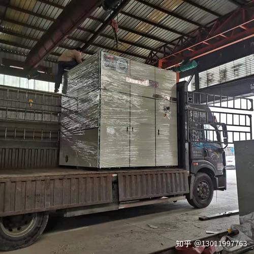 河北食品厂生物质锅炉脱硝改造 技术与实践解析